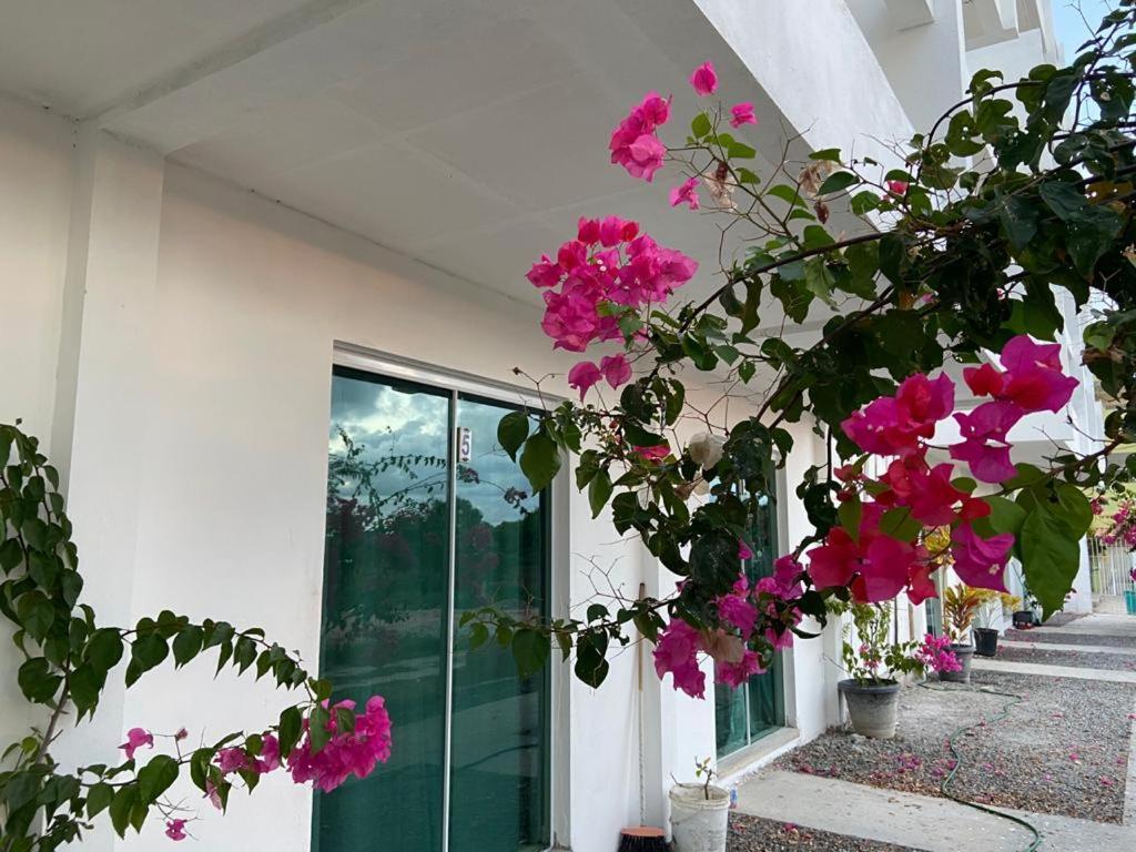 Solar Teixeira Flats Ξενοδοχείο Pôrto das Galinhas Εξωτερικό φωτογραφία