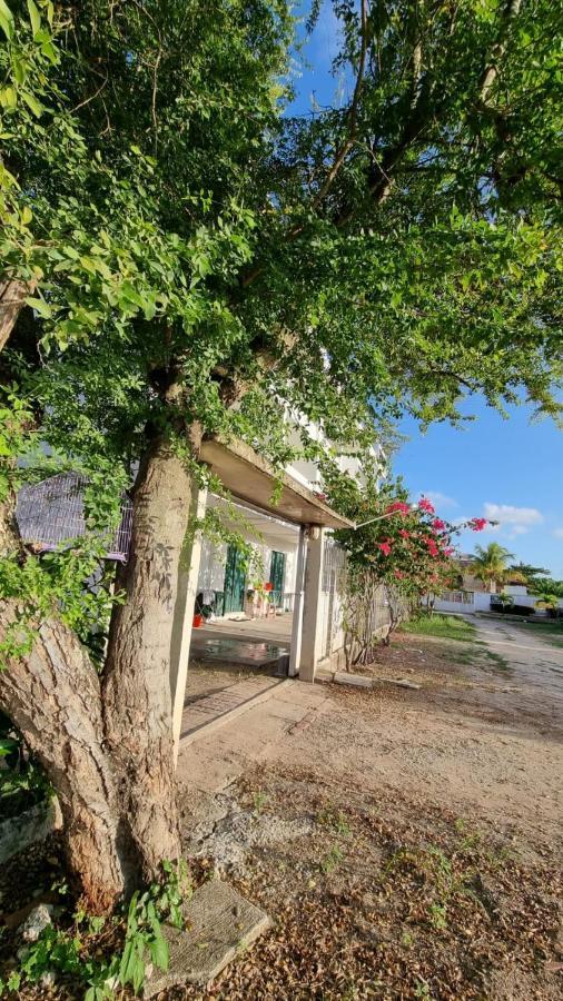 Solar Teixeira Flats Ξενοδοχείο Pôrto das Galinhas Εξωτερικό φωτογραφία